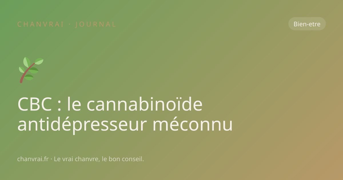 CBC : le cannabinoïde antidépresseur méconnu