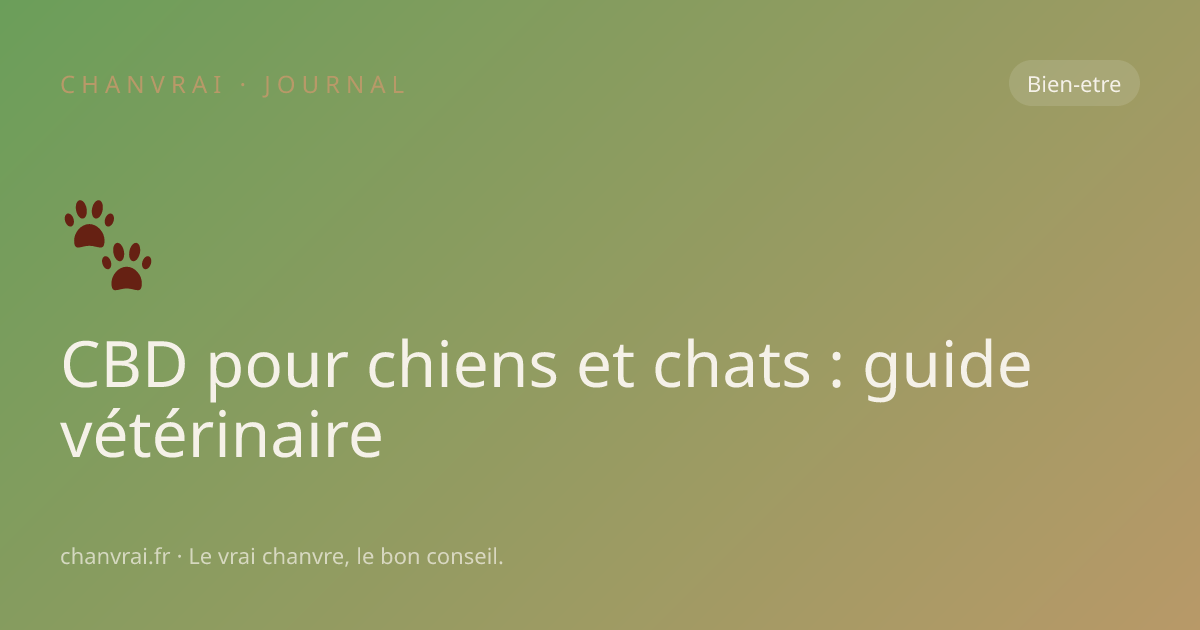 CBD pour chiens et chats : guide vétérinaire