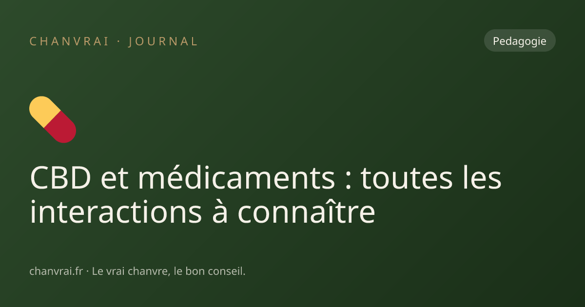 CBD et médicaments : toutes les interactions à connaître