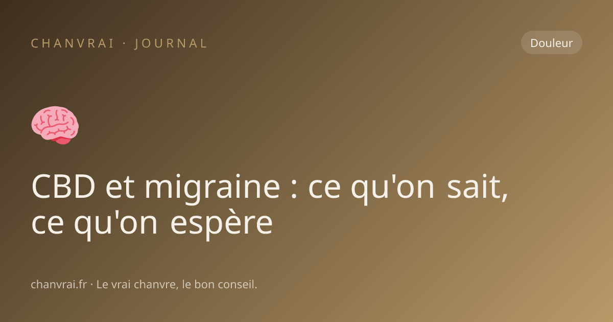 CBD et migraine : ce qu'on sait, ce qu'on espère