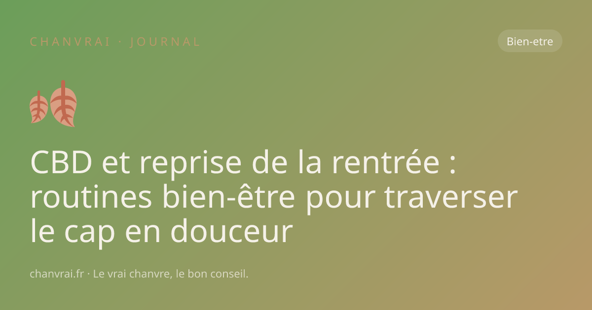 CBD et reprise de la rentrée : routines bien-être pour traverser le cap en douceur
