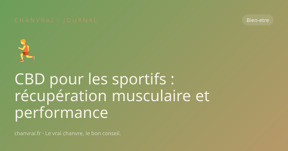 CBD pour les sportifs : récupération musculaire et performance