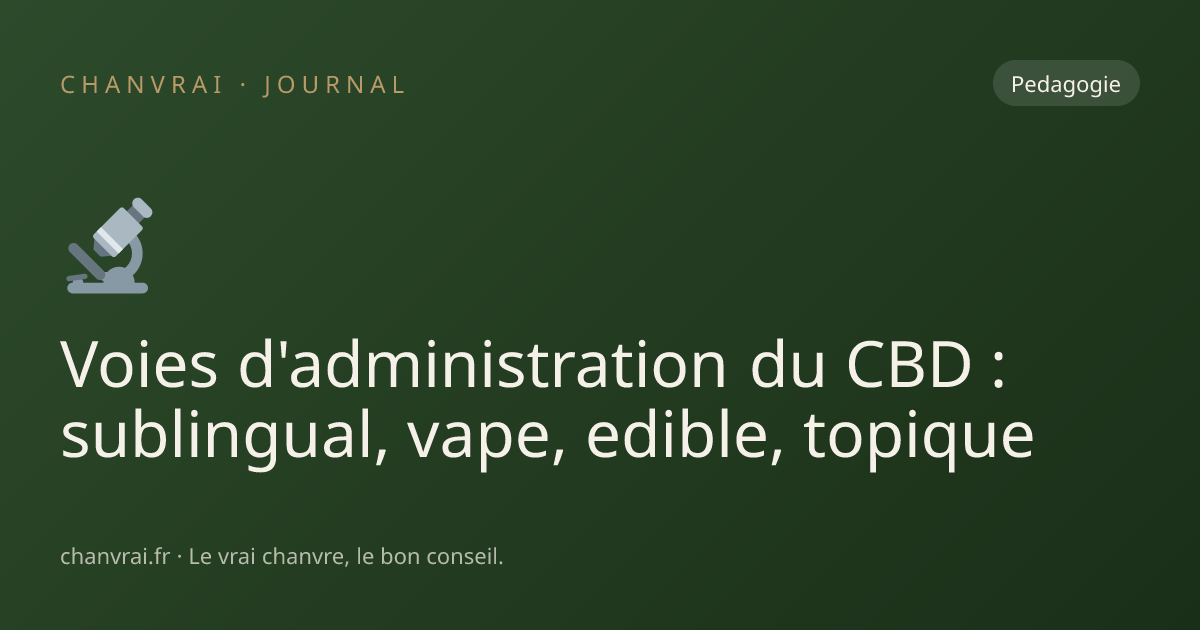 Voies d'administration du CBD : sublingual, vape, edible, topique