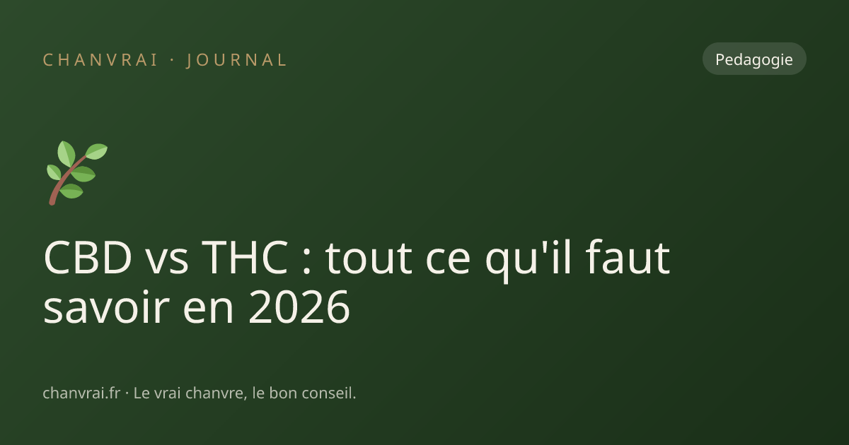 CBD vs THC : tout ce qu'il faut savoir en 2026