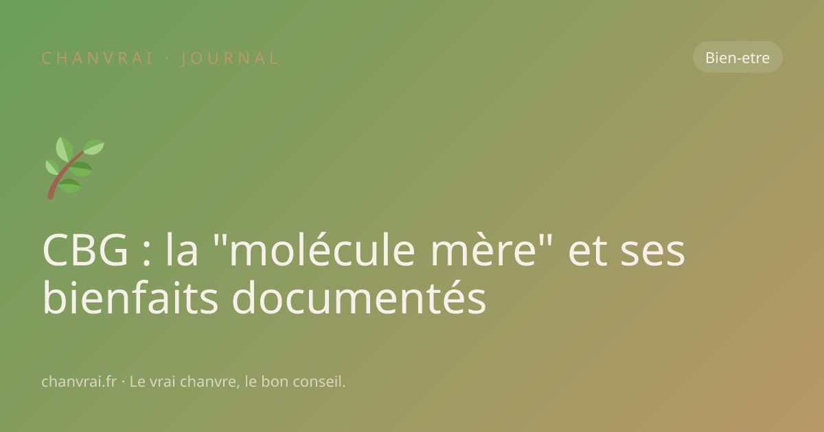 CBG : la "molécule mère" et ses bienfaits documentés