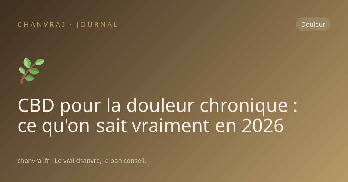 CBD pour la douleur chronique : ce qu'on sait vraiment en 2026