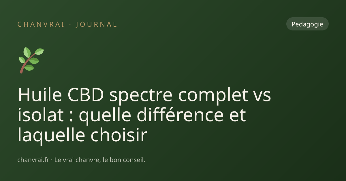 Huile CBD spectre complet vs isolat : quelle différence et laquelle choisir