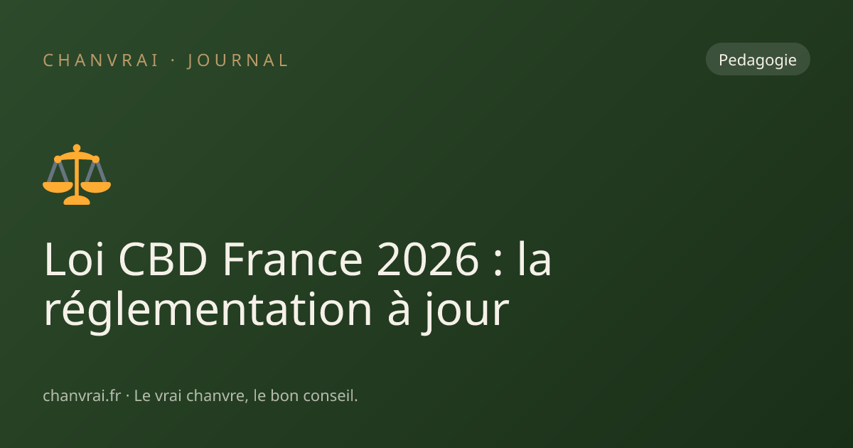 Loi CBD France 2026 : la réglementation à jour